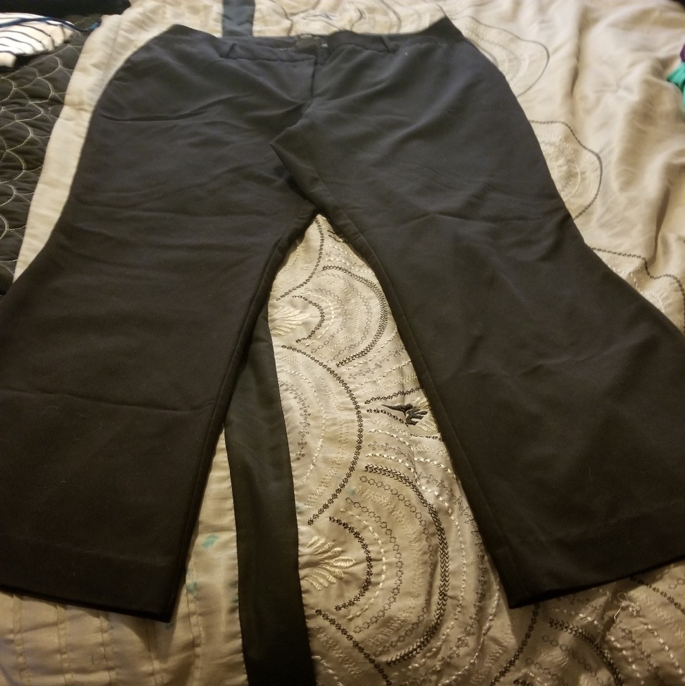 Dress pants